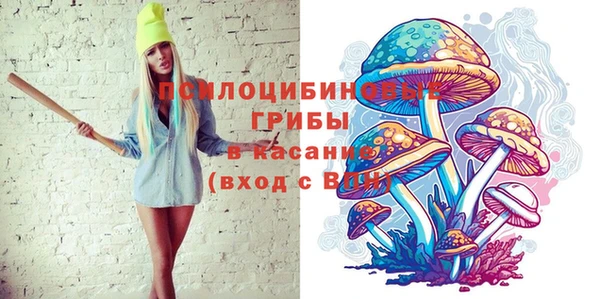 мет Бородино
