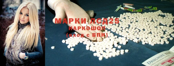 мет Бородино