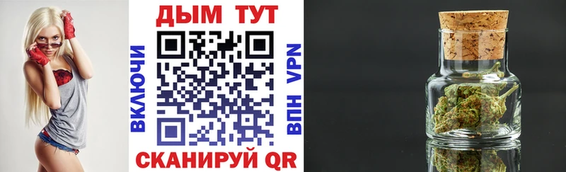 Канабис Bruce Banner  цена   Юрга 